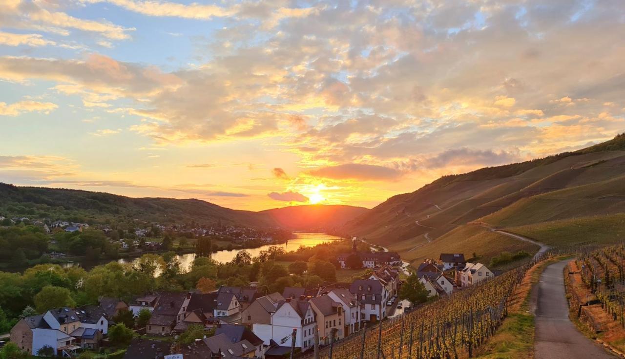 Sonnenufer Apartment & Moselwein II Bernkastel-Kues Exteriér fotografie